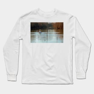 Heart of gold courting mute swans Long Sleeve T-Shirt